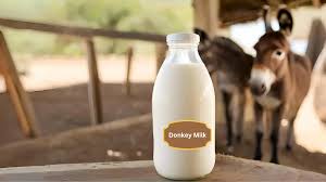 Donkey Milk